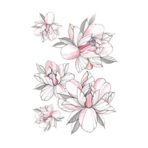 Blush Magnolias